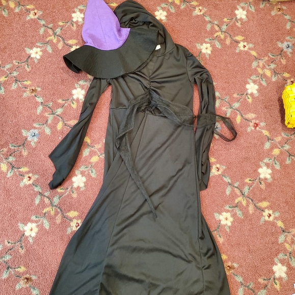 Wizard of Oz Wicked Witch Costume - Picture 1 of 4